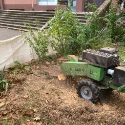Firma usługowa Michał Bies - Usuwanie pni po wycince poprzez frezowanie.