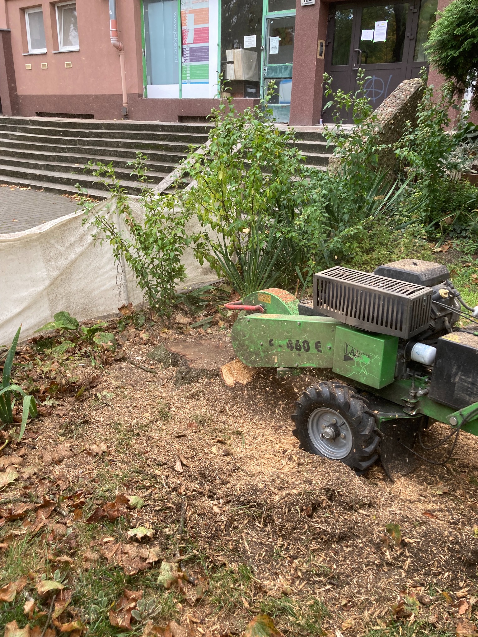 Usuwanie pni po wycince poprzez frezowanie.