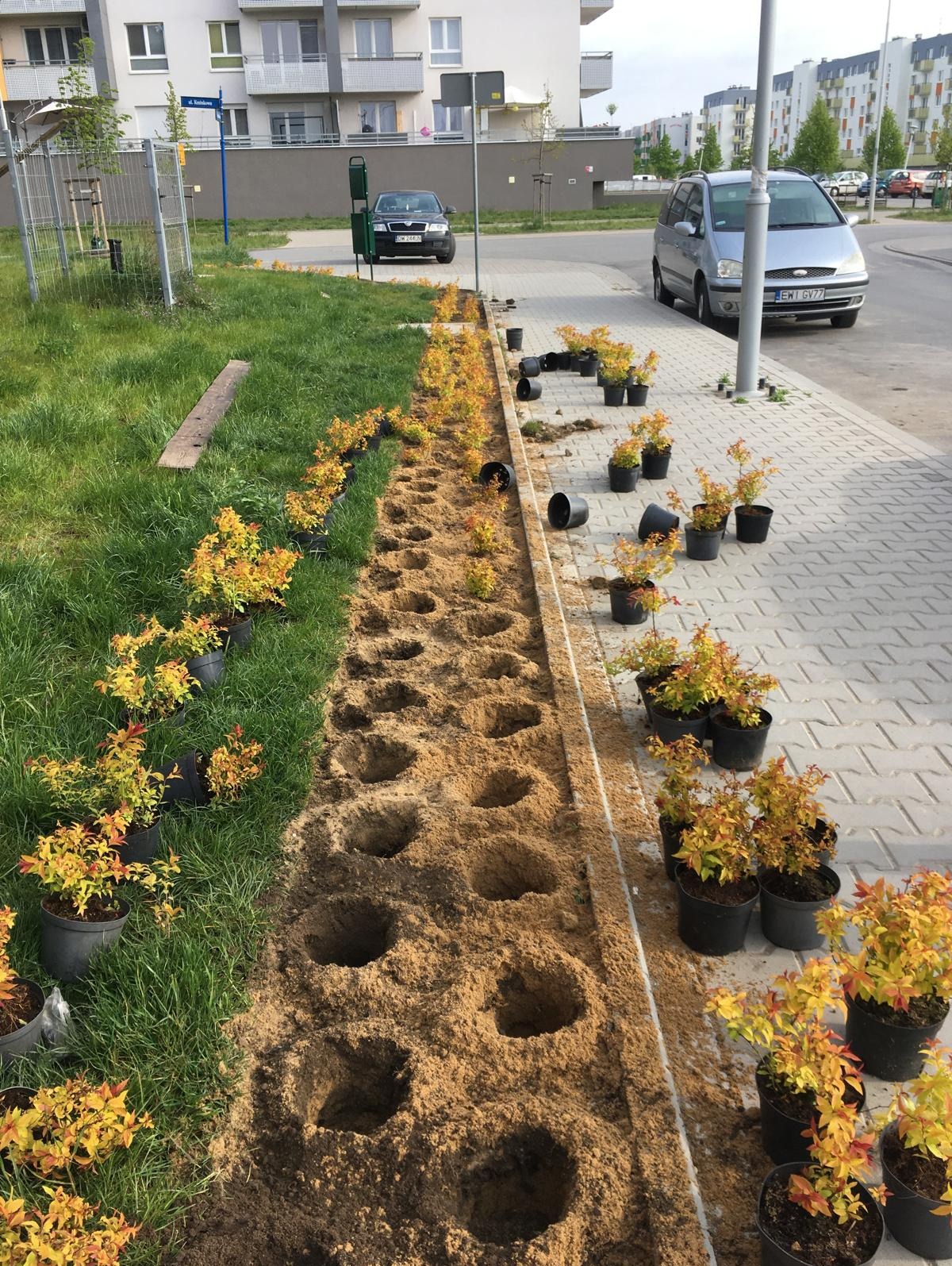 Sadzenie roślin i sadzenie drzew