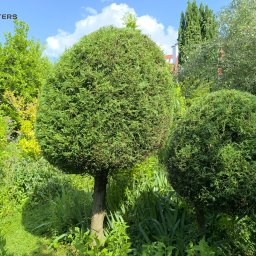 Sprzątanie mieszkań Pogwizdów 3