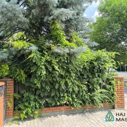 Sprzątanie mieszkań Pogwizdów 2