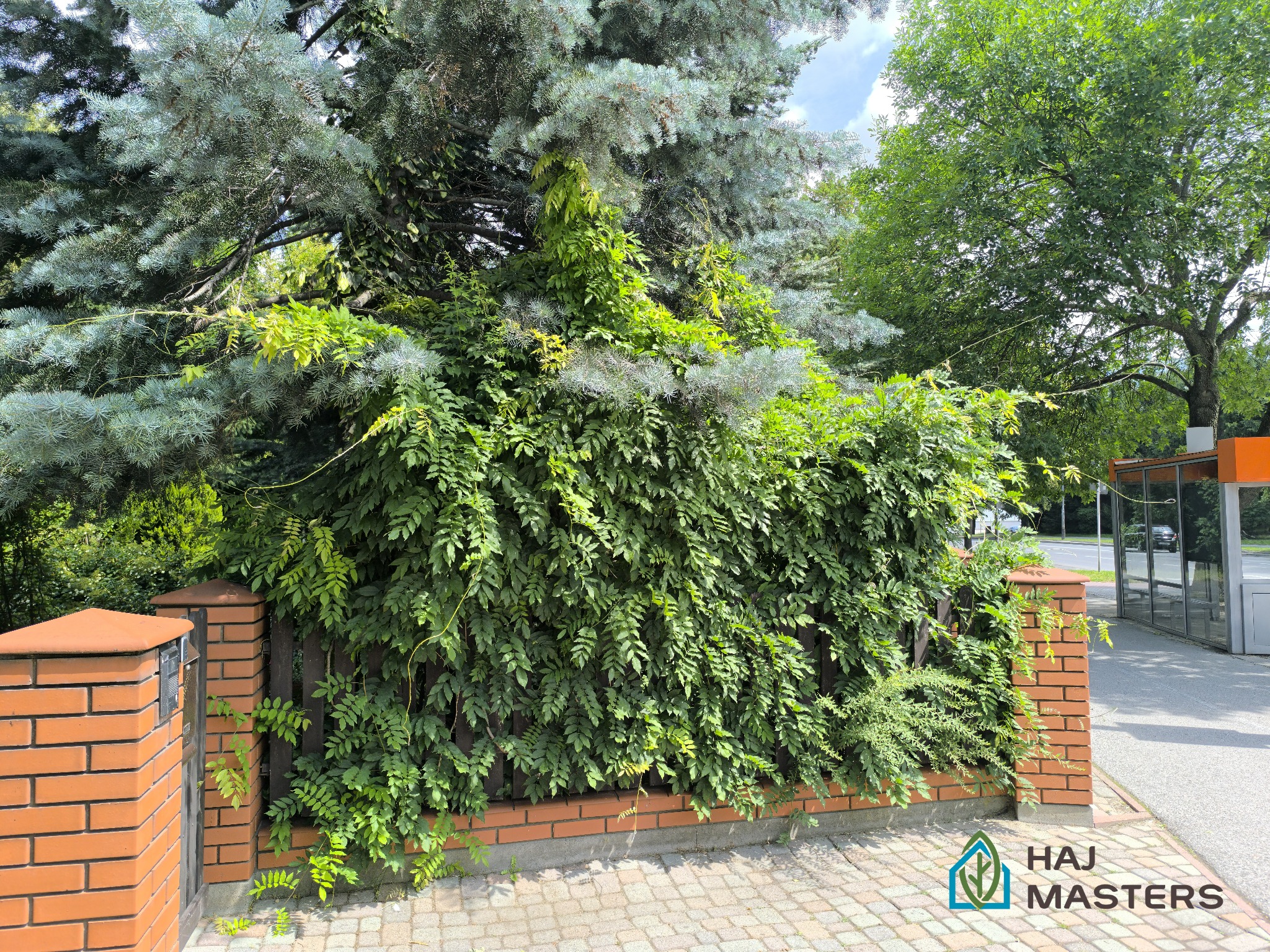 Zarośnięte ogrodzenie z cegły i drewna, porośnięte pnączami i drzewami, z widoczną kostką brukową i fragmentem budynku w tle. Bujna zieleń.