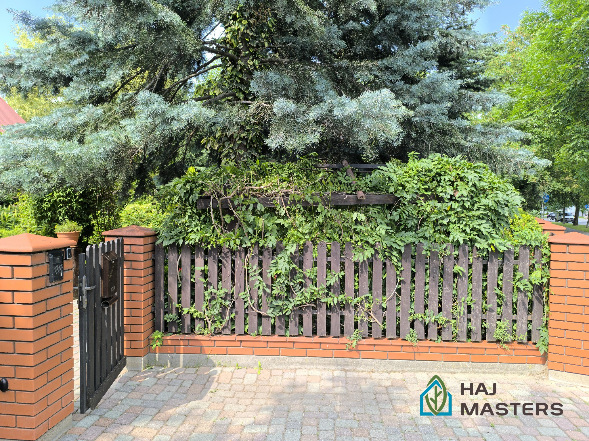 Otwarta furtka w ciemnym drewnianym płocie z ceglanymi słupkami, porośniętym zielenią. W tle widoczny duży świerk srebrny i kostka brukowa.