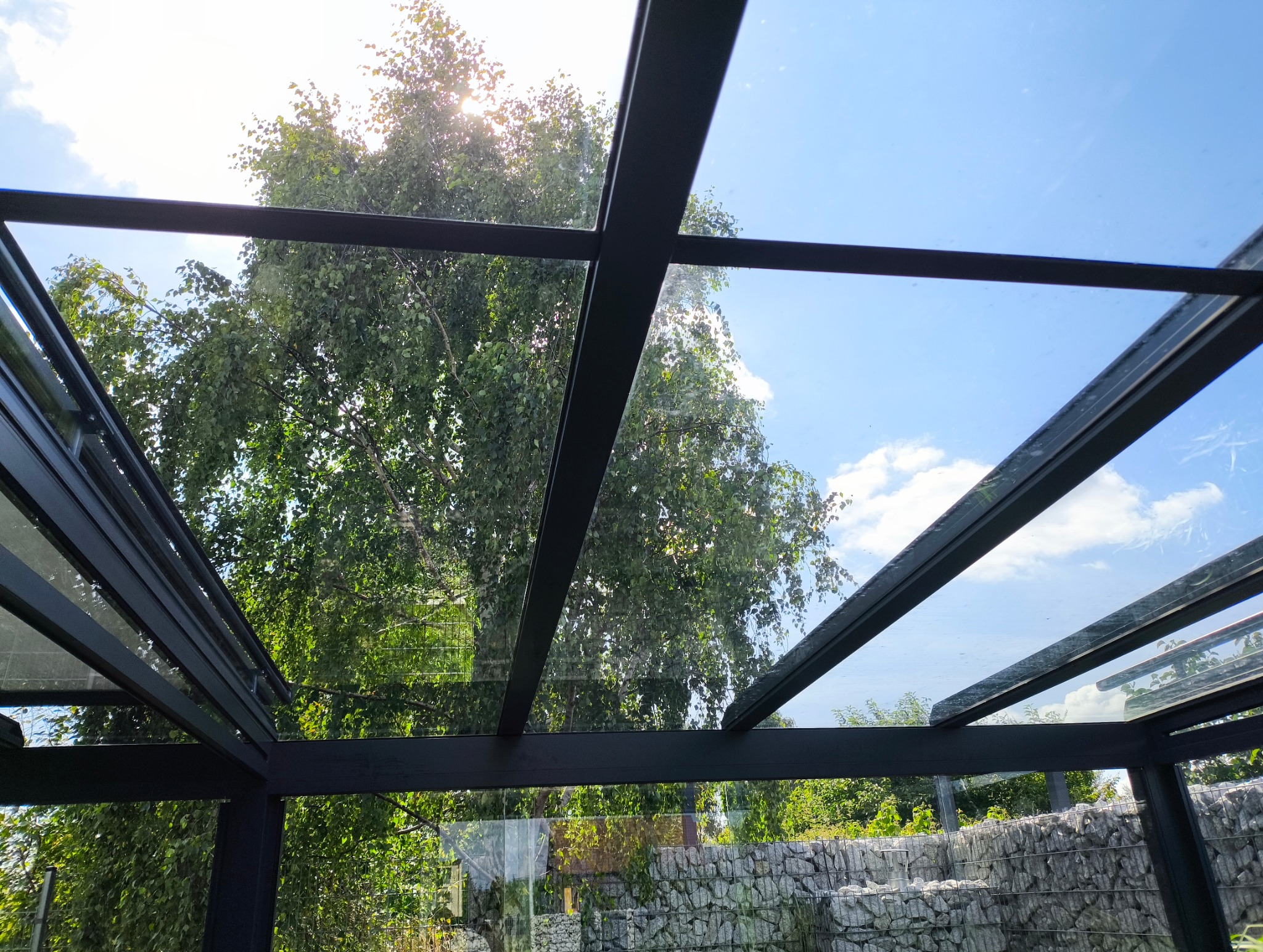 Szklany dach z czarną ramą, widok z dołu na błękitne niebo i drzewo. Widoczne drobne zabrudzenia na szkle.
