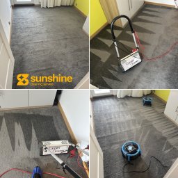 Sunshine Cleaning Service Viacheslav Hordiienko - Kolaż: dywan przed i w trakcie czyszczenia. Widoczne urządzenie do czyszczenia dywanów i efekt czyszczenia w postaci wzoru na dywanie. Żółta ściana w tle.