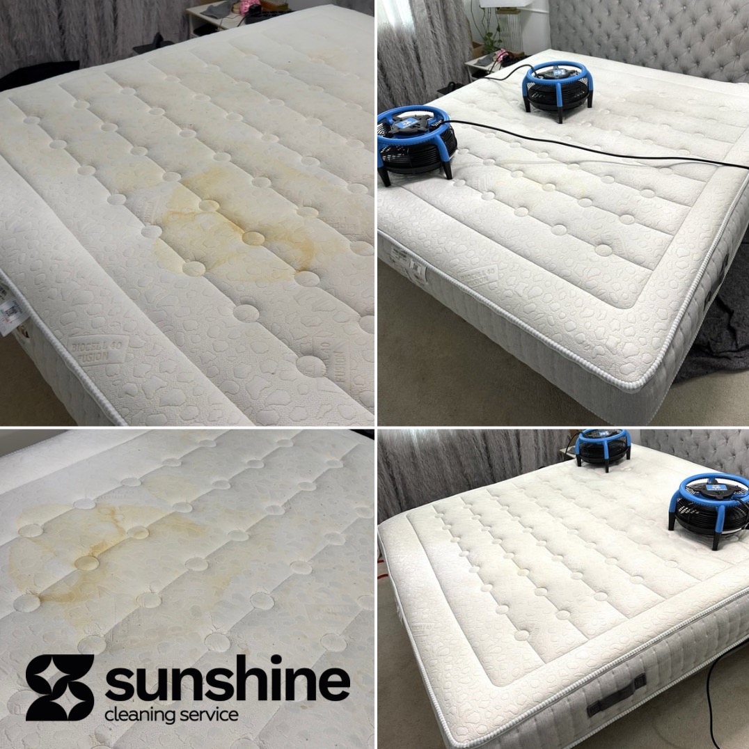 Materac po praniu: po prawej czysty, po lewej z plamami. Dwa wentylatory suszą powierzchnię. Widoczny efekt 'przed i po' usługi prania materaca.