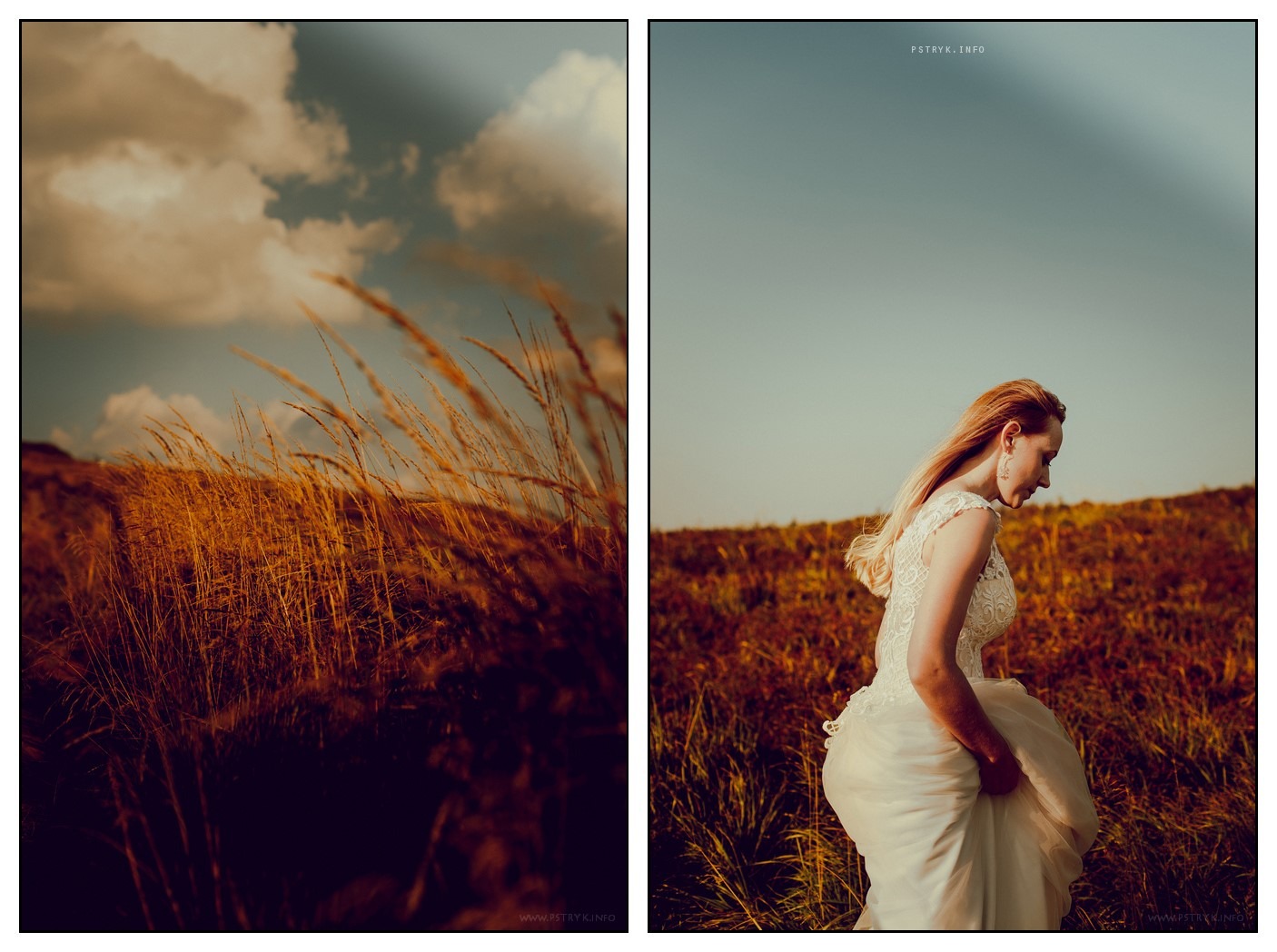 fotografia sesyjna ślubna