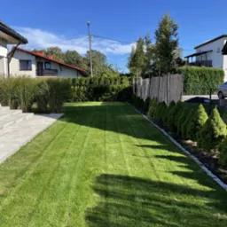 Równy trawnik po koszeniu, widoczne pasy, obrzeża z tujami i kamieniami, w tle domy i ogrodzenie z wikliny. Słoneczny dzień, błękitne niebo.