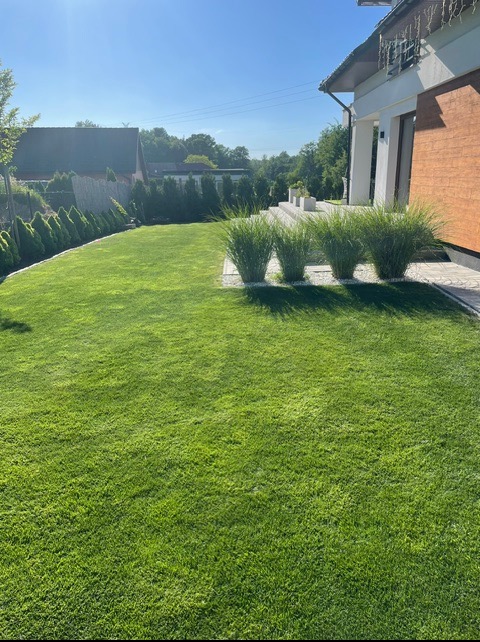 Zadbany trawnik przed domem z ozdobnymi trawami i tujami w tle. Świeżo skoszona trawa, widok na budynek z ceglaną elewacją i schodami.