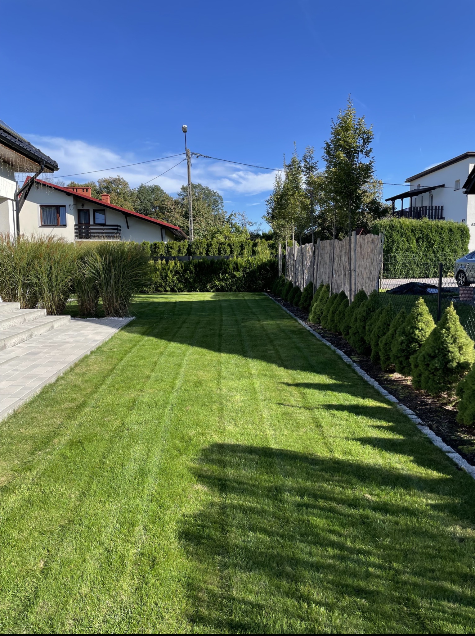 Równy trawnik po koszeniu, widoczne pasy, obrzeża z tujami i kamieniami, w tle domy i ogrodzenie z wikliny. Słoneczny dzień, błękitne niebo.
