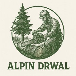 Wycinka drzew Warszawa 1