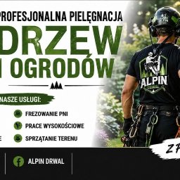 Alpin Drwal - 
