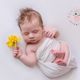 Minimalizm i elegancja – zdjęcia, które nigdy nie stracą swojego uroku.