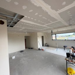 Wycinka drzew Gliwice 4