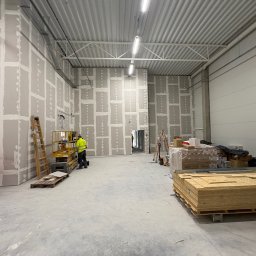 Wycinka drzew Gliwice 4