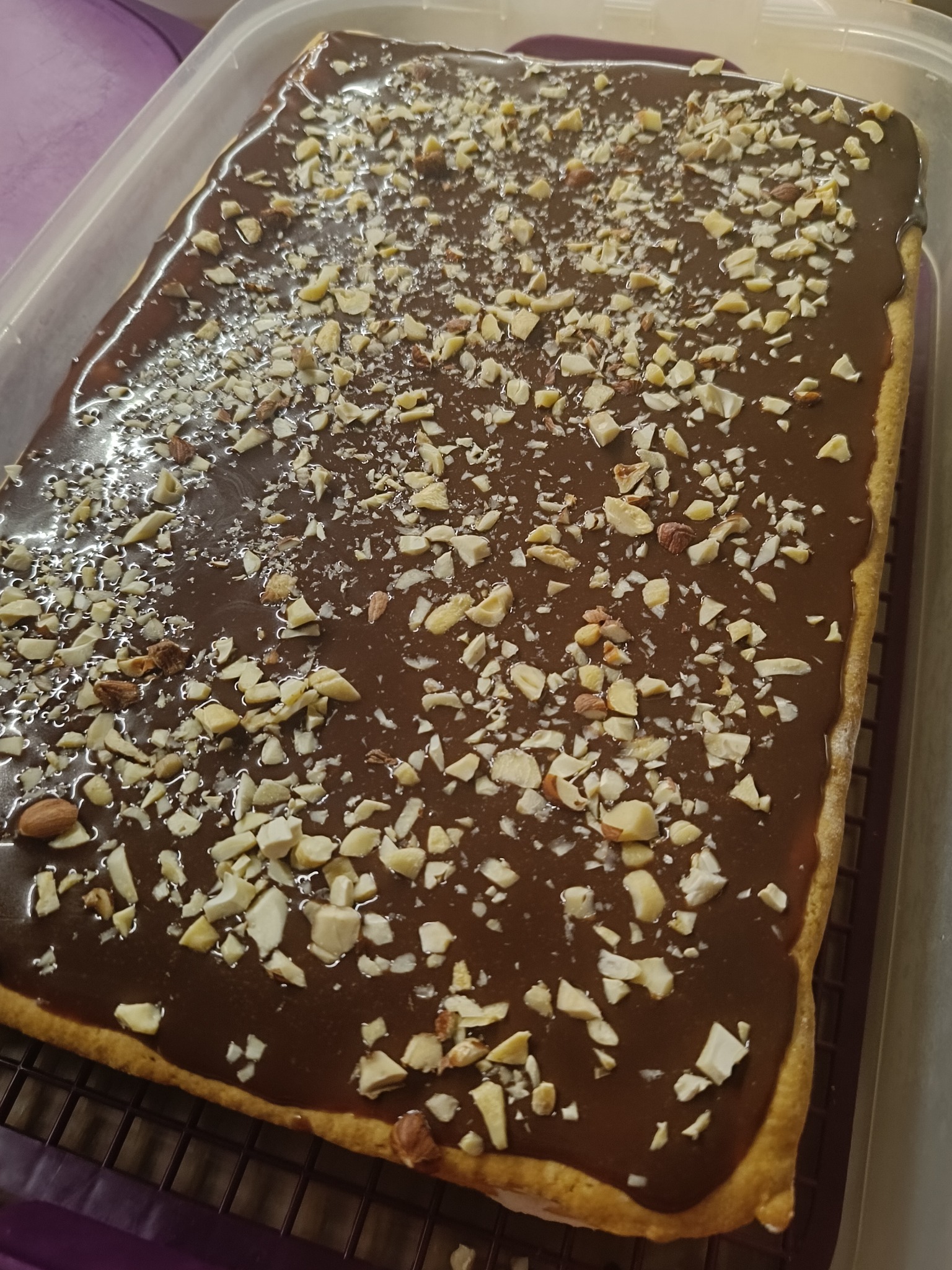 Prostokątne ciasto z polewą czekoladową i posiekanymi orzechami, ułożone na metalowej kratce. Widoczny fragment plastikowego pojemnika.