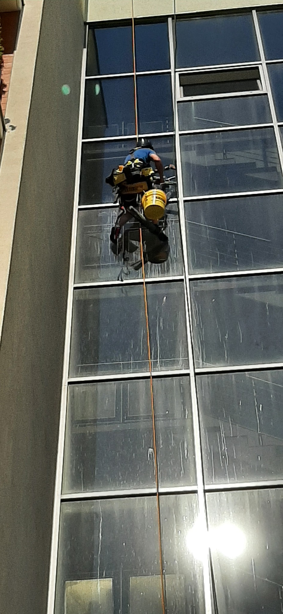 Pracownik na linie, w uprzęży, czyści okna wieżowca. Widoczne zabrudzenia na szybach i sprzęt do mycia. Ujęcie z dołu, w słoneczny dzień.