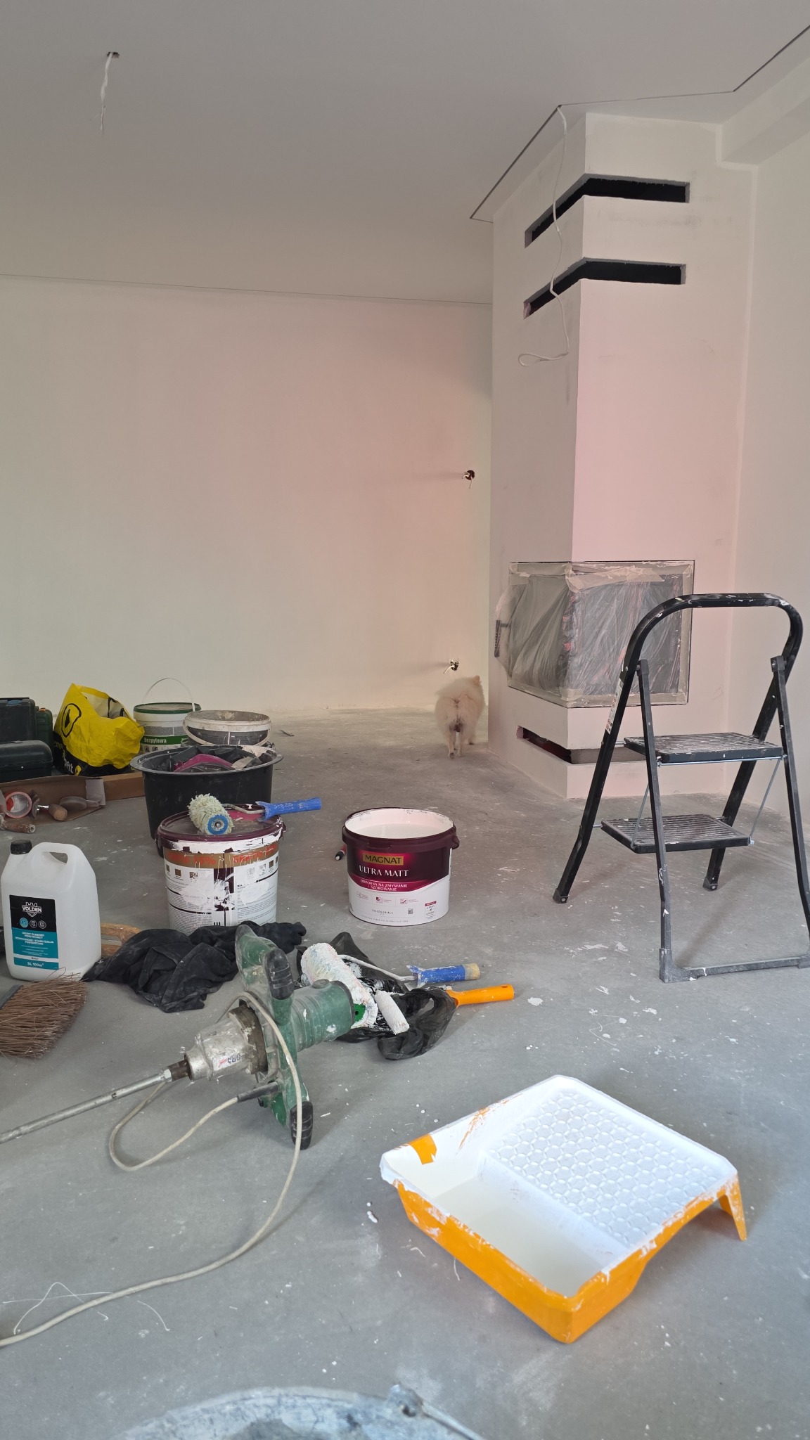 Pokój w trakcie malowania: drabina, puszki z farbą Magnat Ultra Matt, wałki, kuweta malarska. Na ścianie widoczny kominek z osłoniętym wkładem i pies rasy szpic.