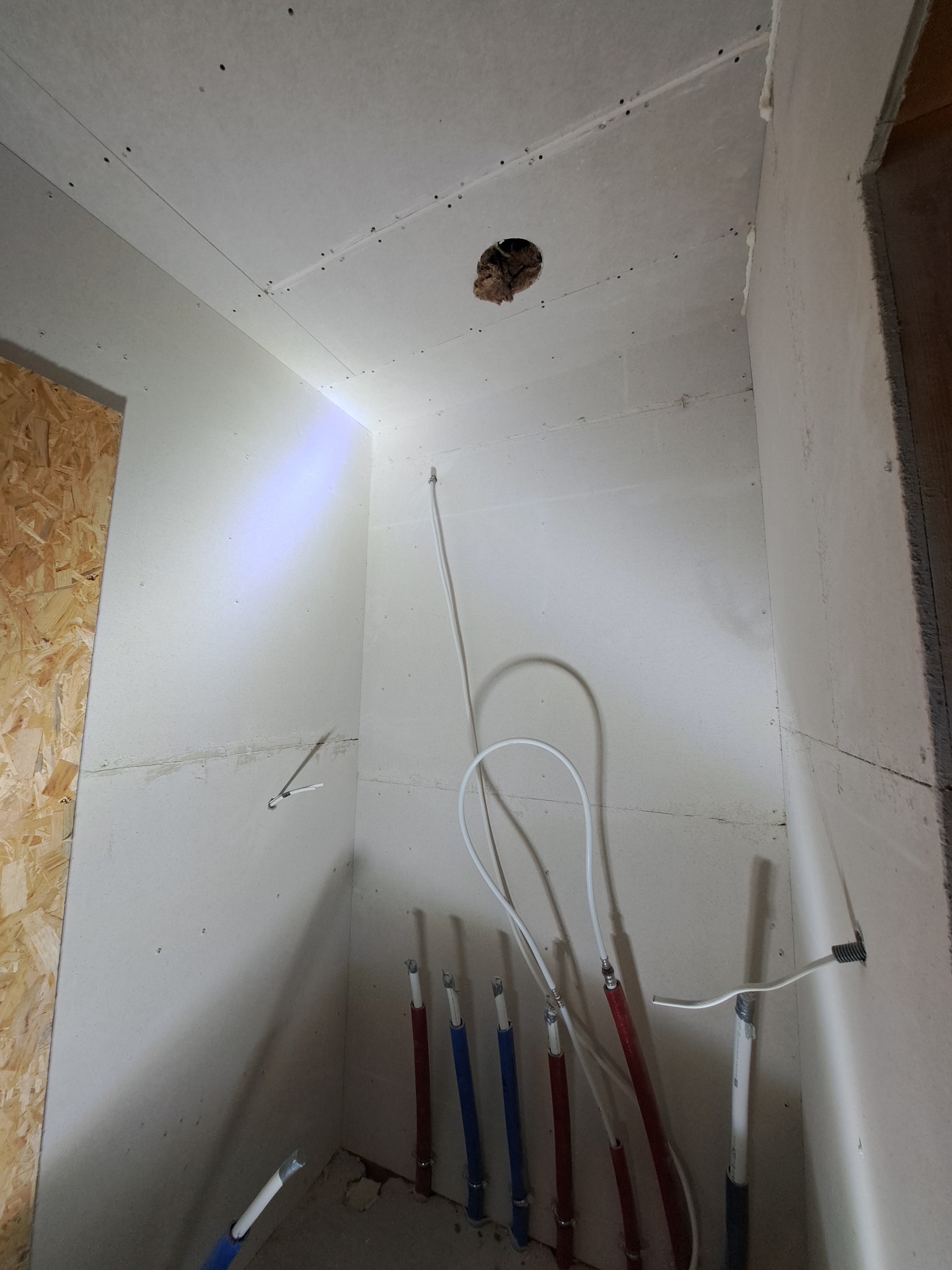 Ściana w trakcie prac wykończeniowych: płyty gipsowo-kartonowe, instalacja wodna z rurami PEX w kolorach niebieskim i czerwonym, otwór w suficie. Surowy stan, przygotowanie do dalszych prac.