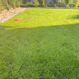 Gaja Gardens Joanna Lalka - Zadbany trawnik z widoczną granicą z kamieni i roślin. Na trawie leży dziecięca zabawka. Część trawnika jest zacieniona.