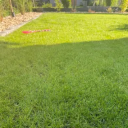 Zadbany trawnik z widoczną granicą z kamieni i roślin. Na trawie leży dziecięca zabawka. Część trawnika jest zacieniona.