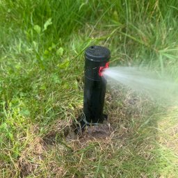 Gaja Gardens Joanna Lalka - Działający zraszacz trawnikowy, czarny, wysuwany, z czerwoną dyszą, nawadniający trawnik. Woda pod ciśnieniem rozpryskuje się na boki.