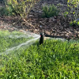 Działający zraszacz nawadnia soczystą, zieloną trawę. W tle widoczne krzewy i kora drzewna, tworzące naturalne otoczenie. Oświetlenie słoneczne podkreśla detale.