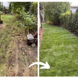 Zdjęcie 'przed i po' z układania trawy z rolki w ogrodzie. Po lewej zaniedbany trawnik, po prawej świeża, zielona trawa z rolki. Strzałka wskazuje kierunek transformacji.