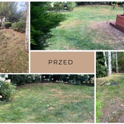 Koszenie trawy Chrząstawa Mała 1