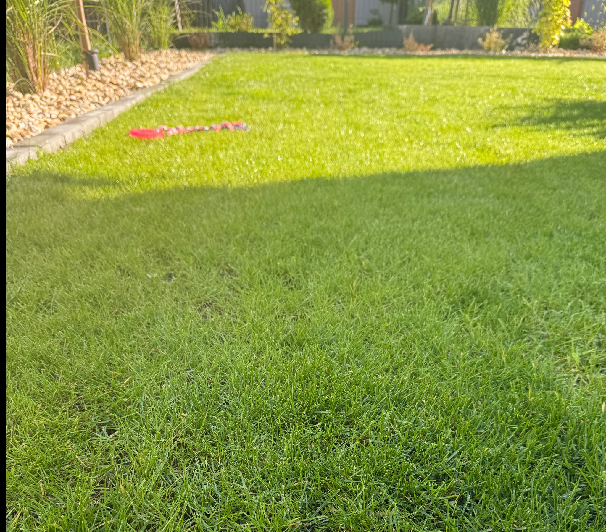 Zadbany trawnik z widoczną granicą z kamieni i roślin. Na trawie leży dziecięca zabawka. Część trawnika jest zacieniona.