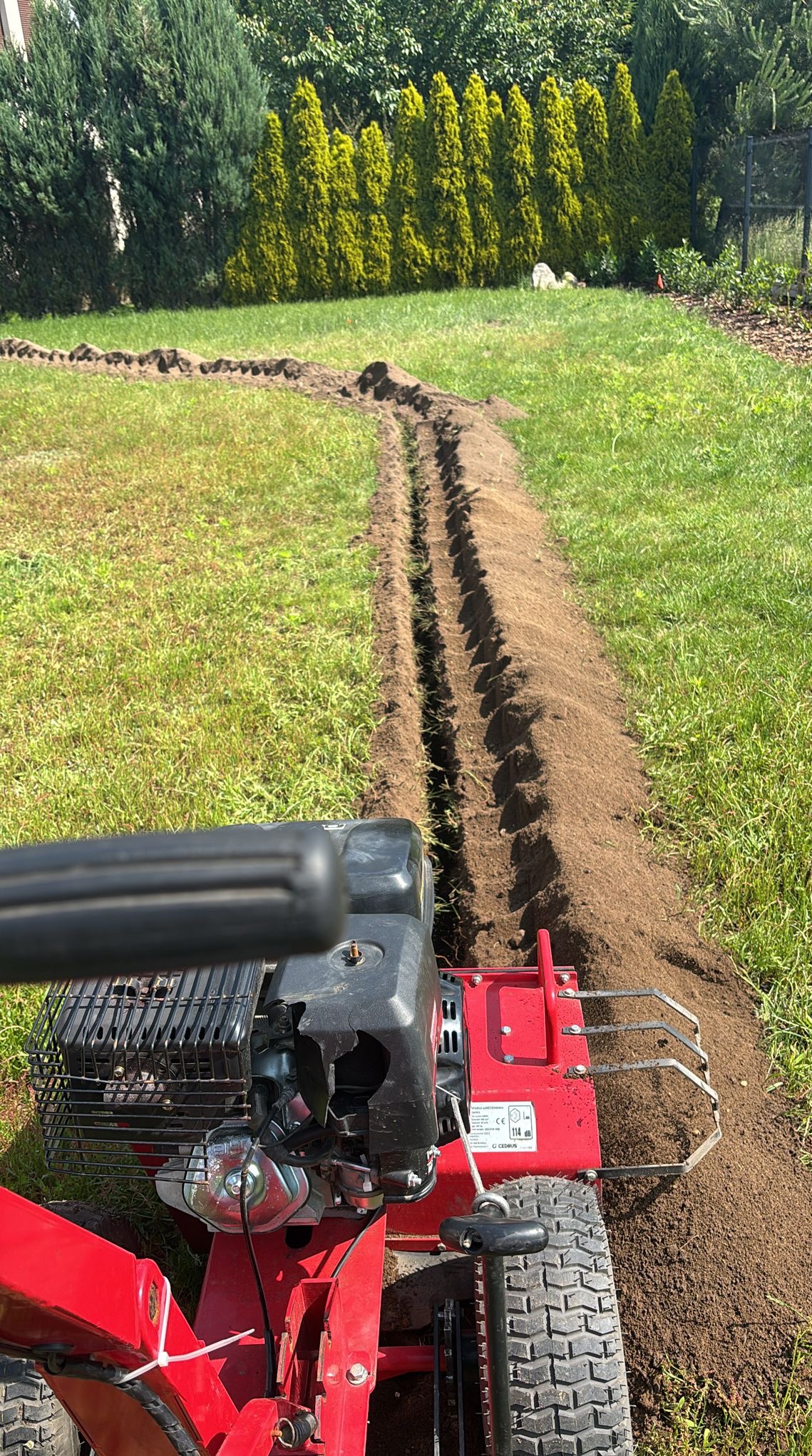 Czerwony glebogryz na trawniku wykopuje wąski rów pod system nawadniania, w tle zielone tuje i trawa. Widok z perspektywy operatora maszyny.