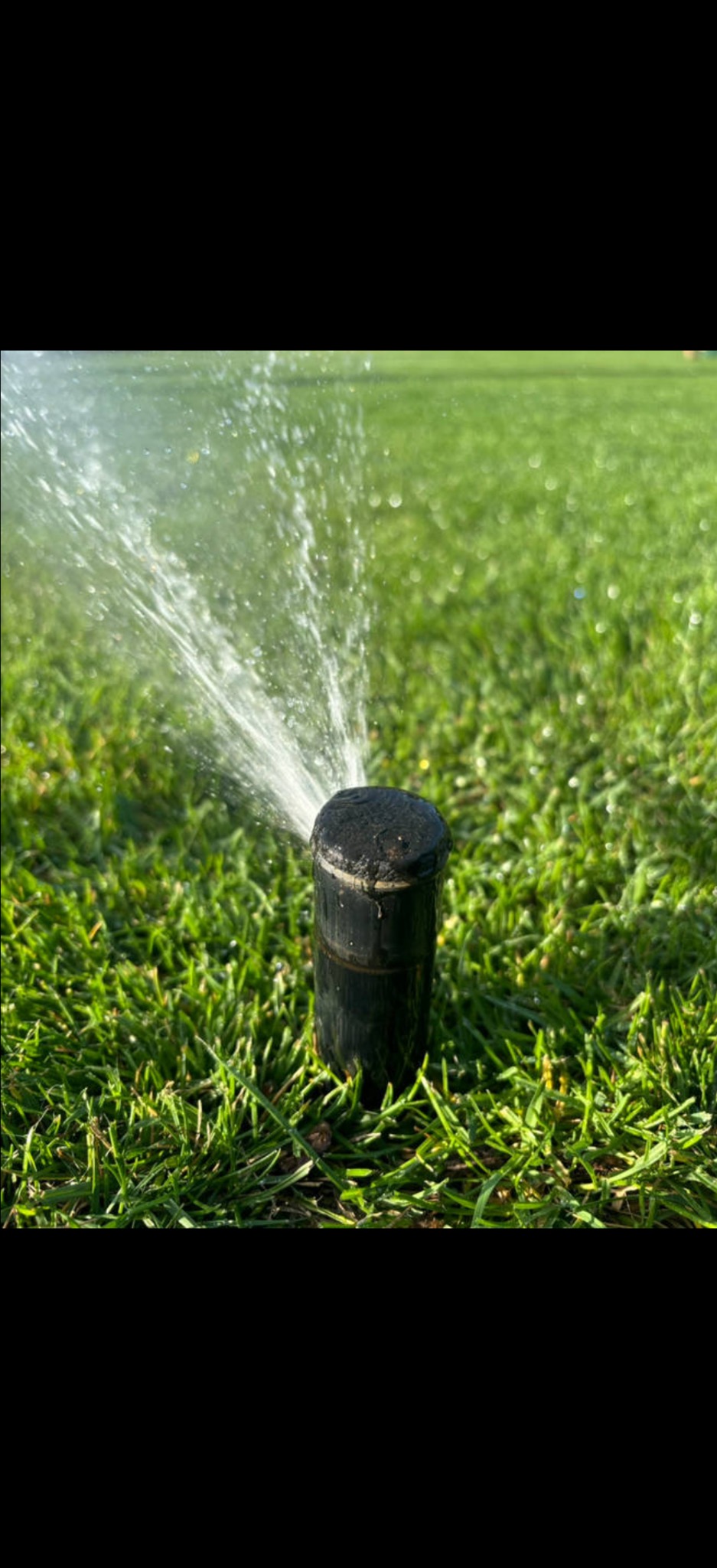 Automatyczny zraszacz trawnikowy w akcji, rozpylający wodę na soczystą, zieloną trawę. System nawadniania w ogrodzie.