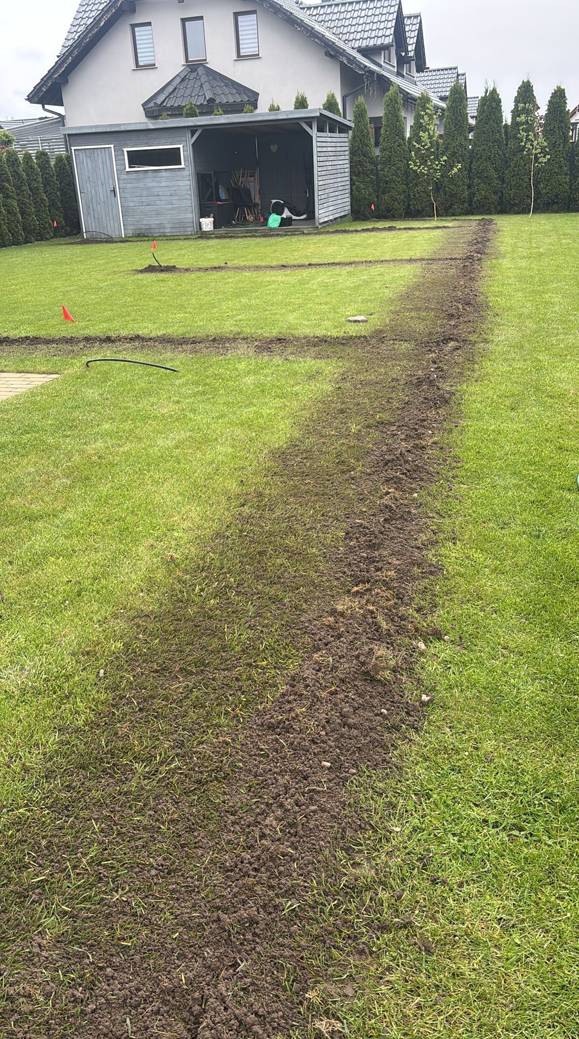 Wyżłobione bruzdy w trawniku, prawdopodobnie pod instalację nawadniającą lub przewody elektryczne. W tle domek narzędziowy i rząd tuj.