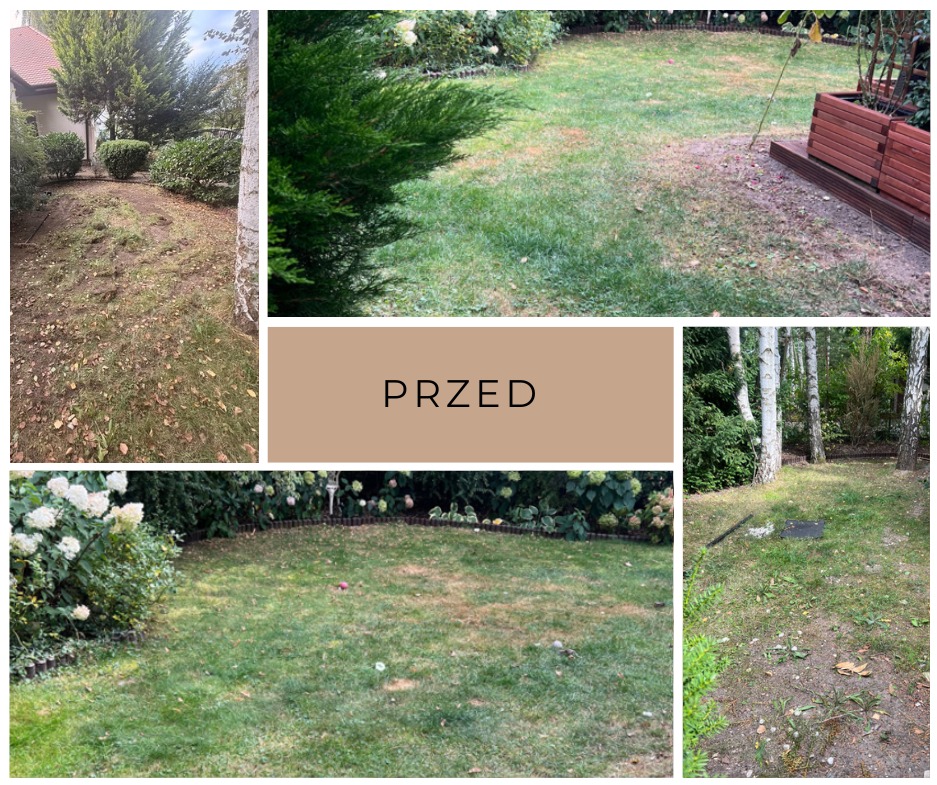 Kompozycja zdjęć ogrodu w stanie 'przed': zniszczony trawnik, widoczne ubytki, suche źdźbła, zaniedbane rabaty, liście na trawie. Kolaż.