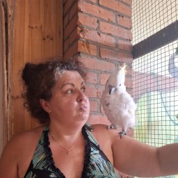 Czysto&Pieknie - Czyszczenie Dachu Mokronos Górny