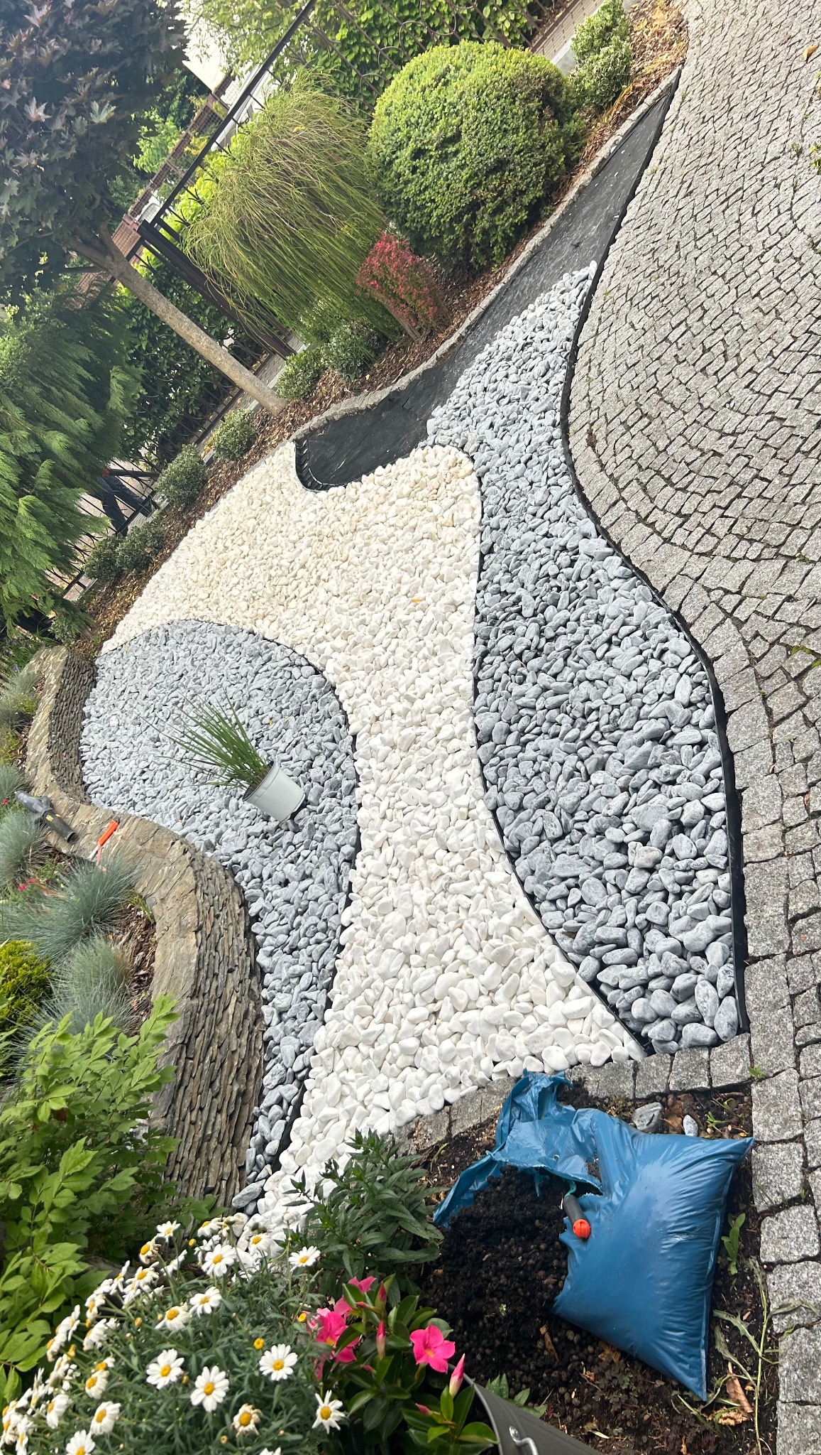 Ścieżka z kamieni w ogrodzie w Warszawie, z białymi i szarymi kamieniami, obok kwiaty i trawa. Widok z góry na gotowy projekt.