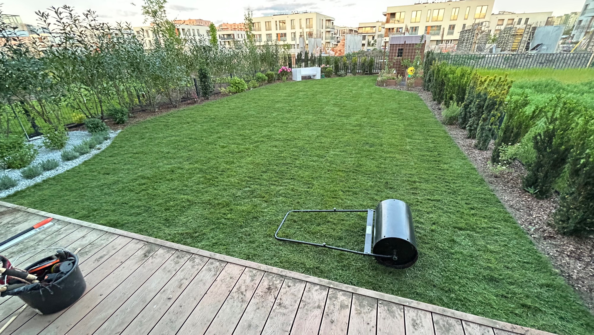 Świeżo założony trawnik z rolki, wyrównany walcem ogrodowym. Widoczny fragment drewnianego tarasu, wiadro z narzędziami, rabaty z roślinami i zabudowa miejska w tle.