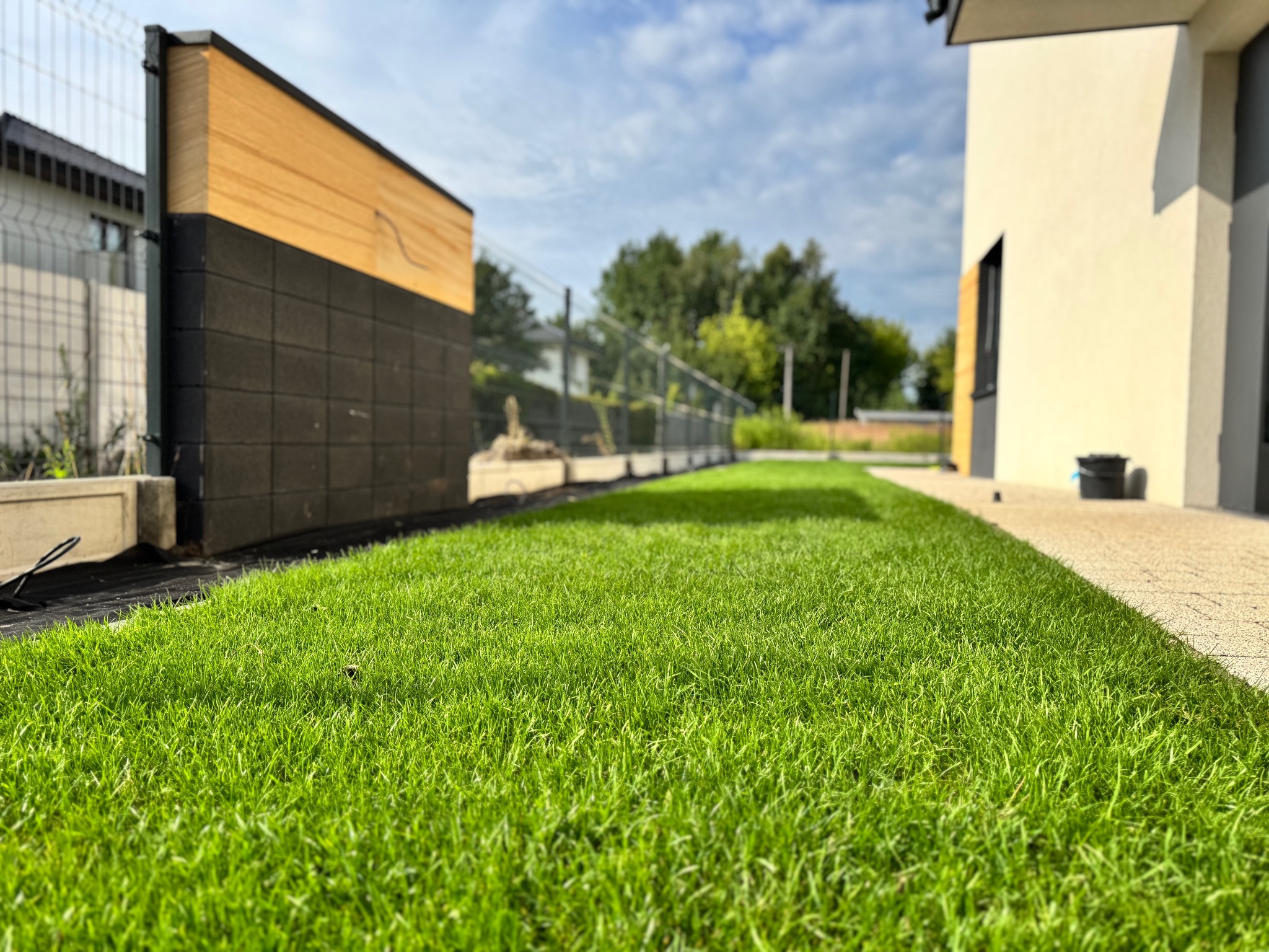 Świeżo założony trawnik z rolki, widok z poziomu gruntu. W tle nowoczesny dom z jasną elewacją i drewniano-czarnym ogrodzeniem. Idealnie równa, soczysta zieleń.