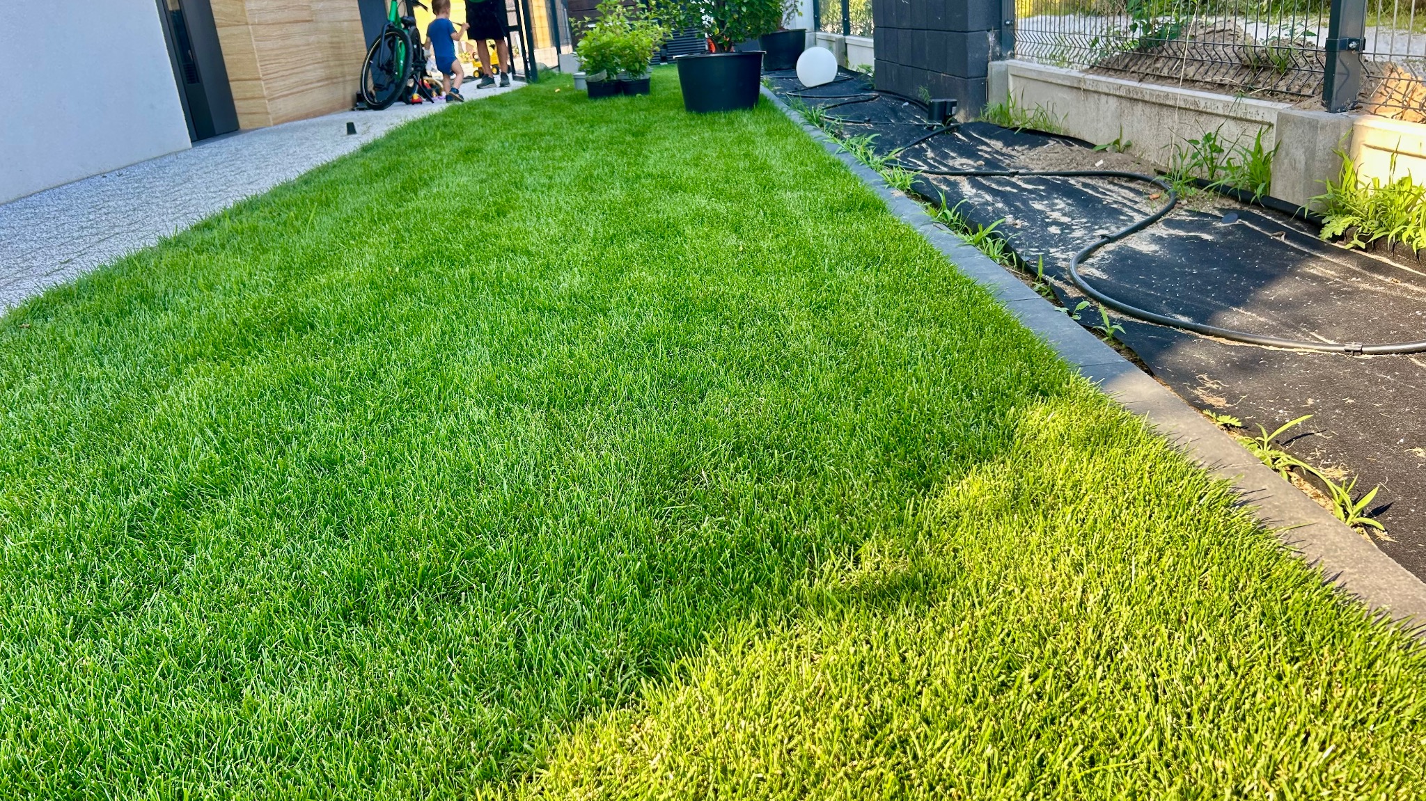 Świeżo założony trawnik z rolki, z widocznymi obrzeżami i fragmentem systemu nawadniania. W tle rośliny w donicach i bawiące się dzieci.