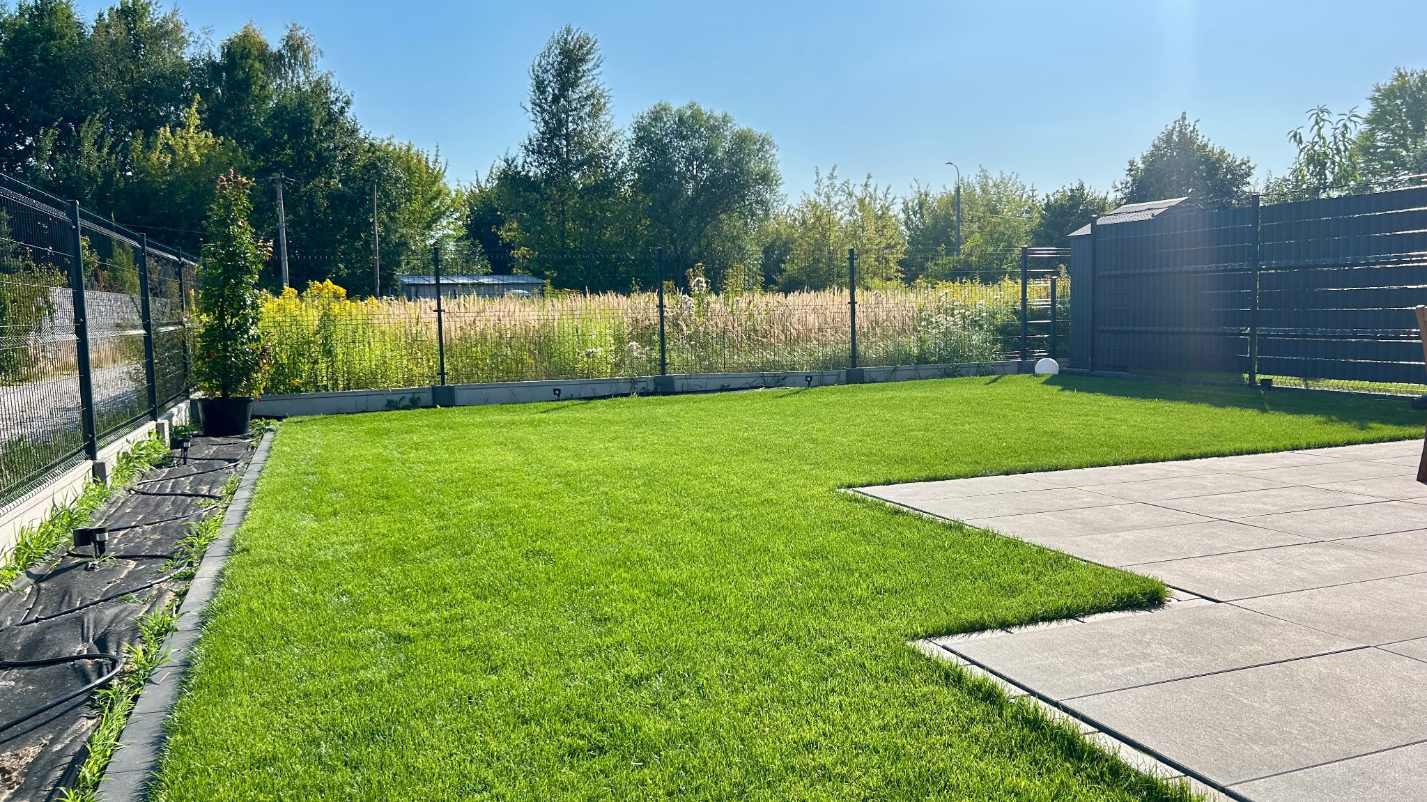 Zadbany trawnik z równo przystrzyżoną trawą, obrzeżami z kostki i fragmentem tarasu z płyt. W tle ogrodzenie i zieleń drzew.