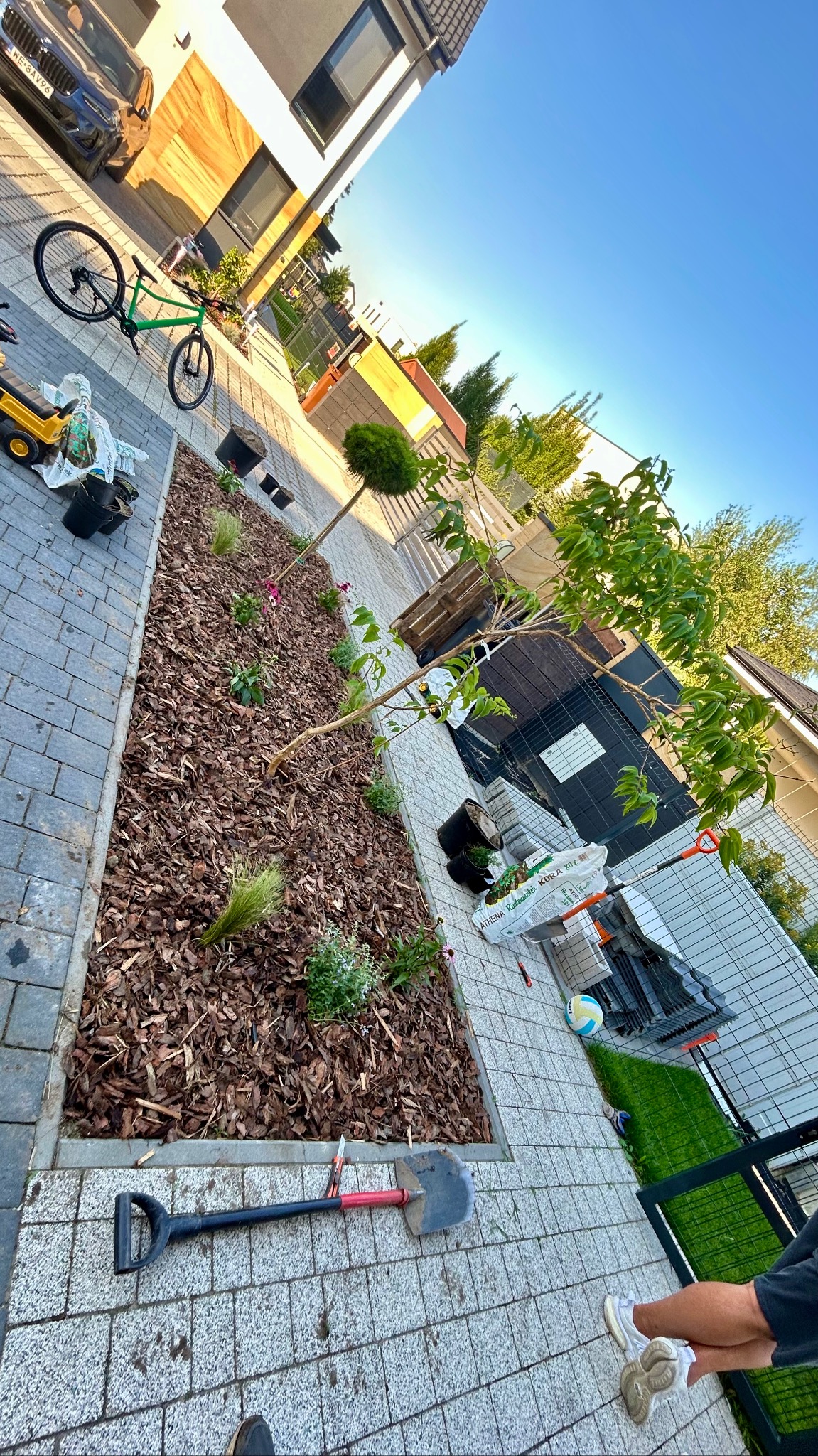 Rabata z korą, świeżo posadzone rośliny i drzewko, narzędzia ogrodnicze obok. Prace w ogrodzie w nowoczesnym otoczeniu domu jednorodzinnego.