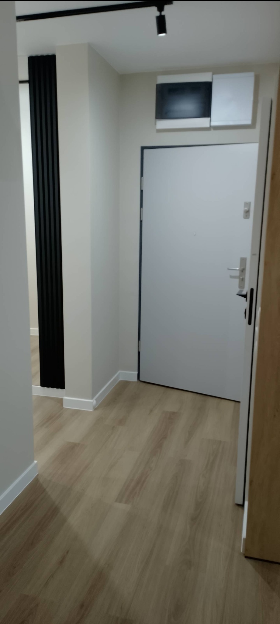 Nowoczesny przedpokój z panelami podłogowymi w odcieniach beżu i pionowymi, czarnymi lamelami dekoracyjnymi na ścianie. Białe listwy przypodłogowe i drzwi.