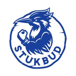 Firma ogólnobudowlana Stukbud Łukasz Stróżewski - Montaż Dachu Szubin