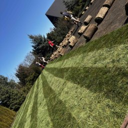 Pielęgnacja ogrodów Warszawa 2