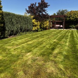 Greenera - Zadbany trawnik z równo przystrzyżoną trawą w prywatnym ogrodzie, z widocznymi pasami po kosiarce. W tle żywopłot, ozdobne drzewa i pergola z huśtawką.