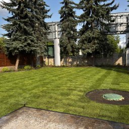 Greenera - Zadbany trawnik z systemem nawadniania, otoczony drzewami iglastymi i ogrodzeniem. Widoczny właz kanalizacyjny i fragment kostki brukowej. Trawa świeżo skoszona w pasy.