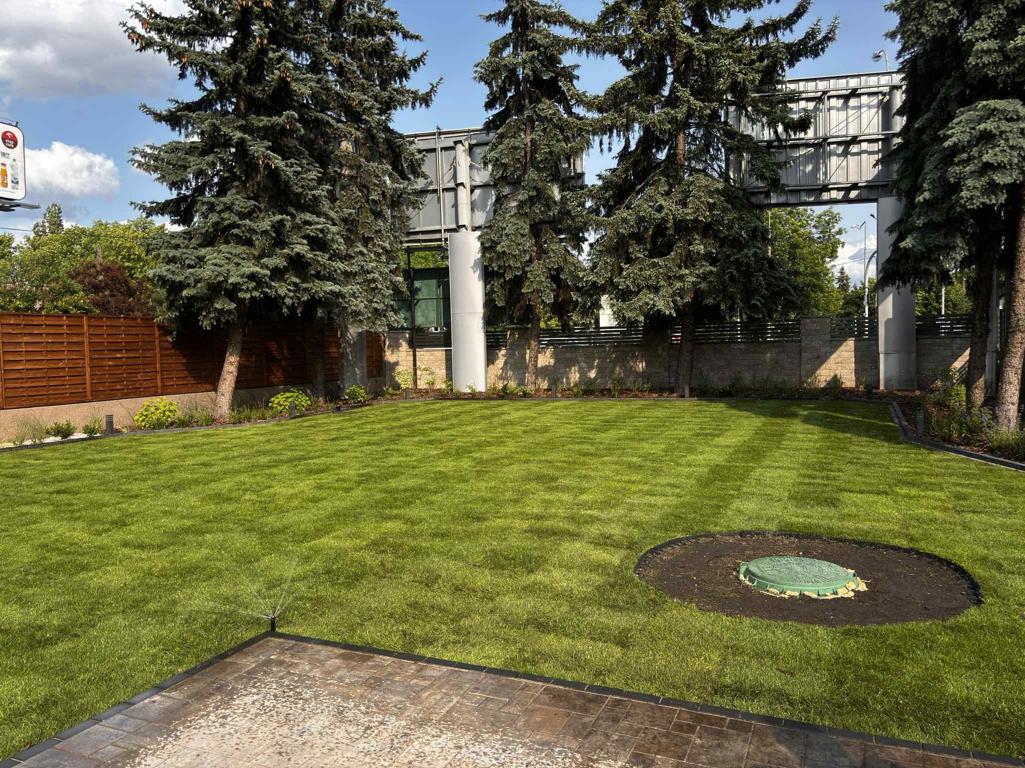 Zadbany trawnik z systemem nawadniania, otoczony drzewami iglastymi i ogrodzeniem. Widoczny właz kanalizacyjny i fragment kostki brukowej. Trawa świeżo skoszona w pasy.