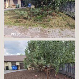 C-ICAS SPÓŁKA Z OGRANICZONĄ ODPOWIEDZIALNOŚCIĄ - Zdjęcie 'przed i po' ukazujące metamorfozę ogrodu: od zaniedbanego trawnika z gałęziami do schludnego terenu z korą wokół drzew i kostką brukową.