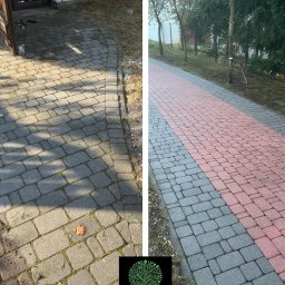 Pielęgnacja ogrodów Lipków 4