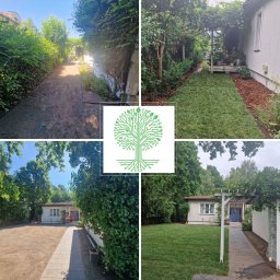 Pielęgnacja ogrodów Lipków 2